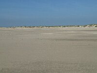 NL, Noord-Holland, Texel, De Hors 24, Saxifraga-Willem van Kruijsbergen