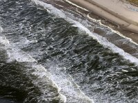 NL, Noord-Holland, Texel, De Slufter 134, Saxifraga-Foto Fitis-Sytske Dijksen