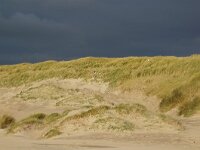 NL, Noord-Holland, Texel, Paal 12 15, Saxifraga-Foto Fitis-Sytske Dijksen