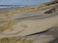 NL, Noord-Holland, Texel, Paal 13 4, Saxifraga-Foto Fitis-Sytske Dijksen