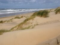 NL, Noord-Holland, Texel, Paal 14 5, Saxifraga-Foto Fitis-Sytske Dijksen