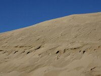 NL, Noord-Holland, Texel, Paal 16 15, Saxifraga-Foto Fitis-Sytske Dijksen