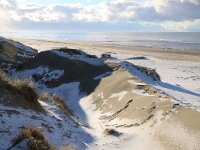 NL, Noord-Holland, Texel, Paal 16 16, Saxifraga-Foto Fitis-Sytske Dijksen