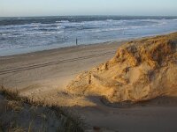 NL, Noord-Holland, Texel, Paal 16 19, Saxifraga-Foto Fitis-Sytske Dijksen