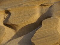 NL, Noord-Holland, Texel, Paal 16 23, Saxifraga-Foto Fitis-Sytske Dijksen