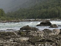 N, Innlandet, Sel, Laagen river 1, Saxifraga-Willem van Kruijsbergen