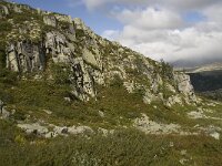 N, Innlandet, Sel, Mysuseter 7, Saxifraga-Willem van Kruijsbergen