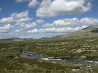 N, Innlandet, Sel, Rondvassbu 1, Saxifraga-Jan van der Straaten