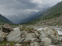 CH, Wallis, Blatten, Loetschental 15, Saxifraga-Willem van Kruijsbergen