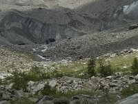 CH, Wallis, Blatten, Loetschental, Langgletscher 8, Saxifraga-Willem van Kruijsbergen