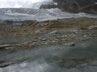 CH, Wallis, Saas Fee, Feegletscher 45, Saxifraga-Willem van Kruijsbergen