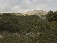 E, Malaga, El Burgo, Sierra de las Nieves 22, Saxifraga-Willem van Kruijsbergen
