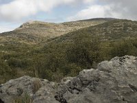 E, Malaga, El Burgo, Sierra de las Nieves 26, Saxifraga-Willem van Kruijsbergen