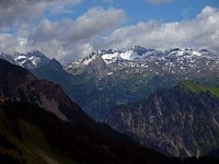 AU, Vorarlberg, Faschina 4, Saxifraga-Hans Dekker