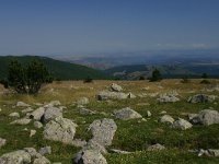 F, Gard, Dourbies, Mont Aigoual 1, Saxifraga-Dirk Hilbers