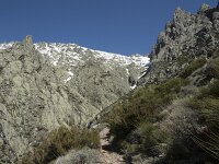 E, Avila, Guisando, Nogal del Barranco 26, Saxifraga-Willem van Kruijsbergen