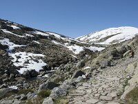 E, Avila, San Juan de Gredos, Senda de la Laguna Grande 6, Saxifraga-Willem van Kruijsbergen
