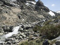 E, Avila, San Juan de Gredos, Senda de la Laguna Grande 77, Saxifraga-Willem van Kruijsbergen
