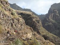 E, Santa Cruz de Tenerife, Adeje, Garganta del Infierno 1, Saxifraga-Dirk Hilbers