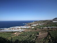 E, Santa Cruz de Tenerife, Buenavista del Norte 4, Saxifraga-Dirk Hilbers