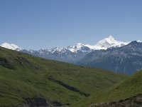 CH, Wallis, Evolene, Mont Blanc de Cheilon 2, Saxifraga-Willem van Kruijsbergen