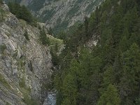 CH, Wallis, Saas Fee 14, alpine gorge, Saxifraga-Willem van Kruijsbergen