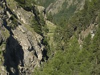 CH, Wallis, Saas Fee 33, alpine gorge, Saxifraga-Willem van Kruijsbergen