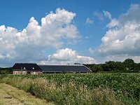 NL, Drenthe, Coevorden, Aalden 3, Saxifraga-Hans Dekker