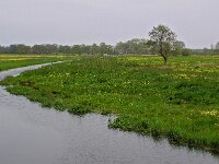 NL, Drenthe, De Wolden, Ruiner Aa 1, Saxifraga-Hans Dekker