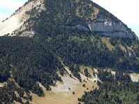 F, Drome, Treschenu-Creyers, Montagne de Bellemotte 1, Saxifraga-Jan van der Straaten