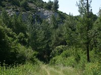 F, Bouches-du-Rhone, Saint Remy-de-Provence, Alpilles 16, Saxifraga-Dirk Hilbers