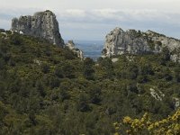 F, Bouches-du-Rhone, Saint Remy-de-Provence, Caume 19, Saxifraga-Marijke Verhagen