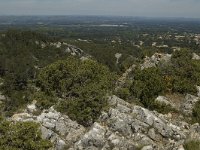 F, Bouches-du-Rhone, Saint Remy-de-Provence, Glanum 14, Saxifraga-Marijke Verhagen
