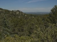 F, Bouches-du-Rhone, Saint Remy-de-Provence, Glanum 17, Saxifraga-Marijke Verhagen