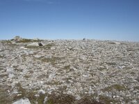 N, Nordland, Andoy, Nonstinden 21, Saxifraga-Willem van Kruijsbergen