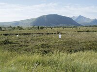 N, Nordland, Andoy, Nordmela 20, Saxifraga-Willem van Kruijsbergen