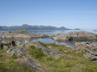 N, Nordland, Oksnes, Gisloya 29, Saxifraga-Willem van Kruijsbergen