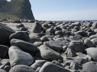 N, Nordland, Vestvagoy, Unstad 17, Saxifraga-Willem van Kruijsbergen