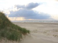 NL, Friesland, Terschelling, Cupidos polder 1 Saxifraga-Hans Boll