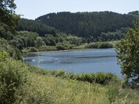 D, Rheinland-Pfalz, Meerfelder Maar 7, Saxifraga-Willem van Kruijsbergen