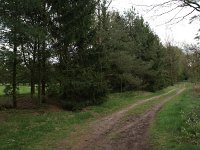 172-359, O,  2013-04-27, NL-J.Hendriks,  51.222745 NB-5.637804 OL, Weert