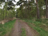 172-359, W, 2013-04-27, NL-J.Hendriks,  51.222745 NB-5.637804 OL, Weert