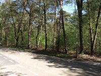 173-360, N, 2012-04-30, NL-J.Hendriks,    51.233555 NB-5.652080 OL, Weert