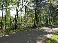 173-360, O, 2012-04-30, NL-J.Hendriks,    51.233555 NB-5.652080 OL, Weert