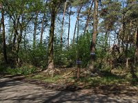 173-360, W, 2012-04-30, NL-J.Hendriks,  51.233464 NB-5.653511 OL, Weert