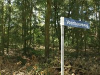 173-360, Z,   2012-04-30, NL-J.Hendriks,  51.233464 NB-5.653511 OL, Weert