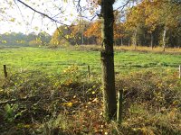 181-359, W, 2018-11-16, NL-Peter Vlamings, 181401-359508, Weert