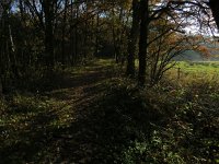 181-359, Z, 2018-11-16, NL-Peter Vlamings, 181401-359508, Weert