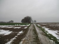 186-324, N, 2012-12-09, Sovon-Hans Quaden, 186513-324496, Nuth