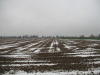 186-324, O, 2012-12-09, Sovon-Hans Quaden, 186513-324496, Nuth